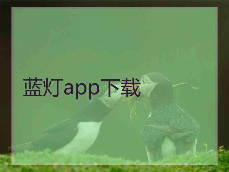 蓝灯app下载