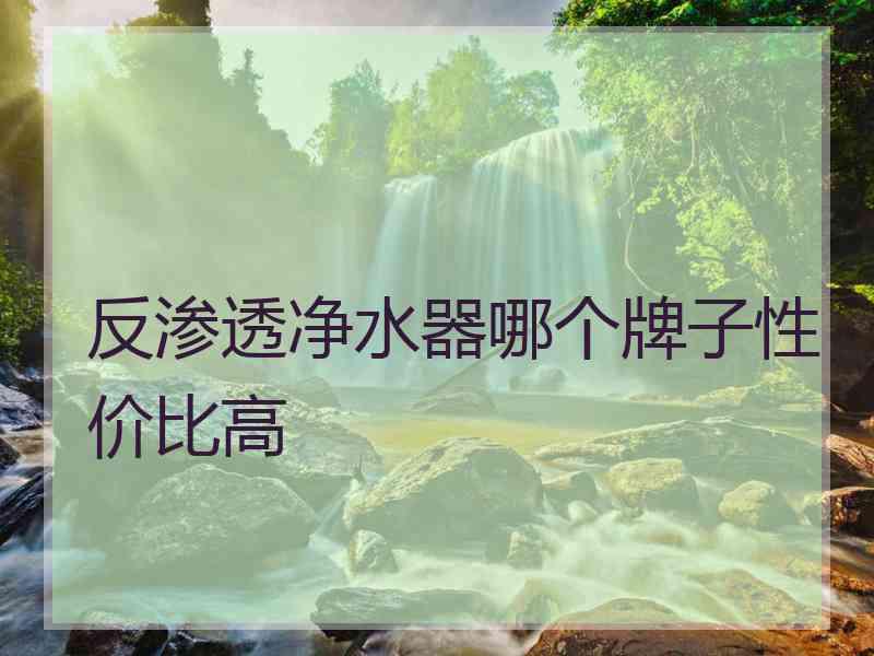 反渗透净水器哪个牌子性价比高