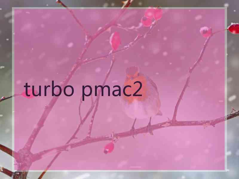 turbo pmac2