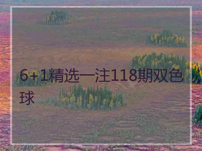 6+1精选一注118期双色球