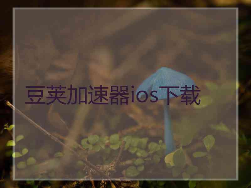 豆荚加速器ios下载