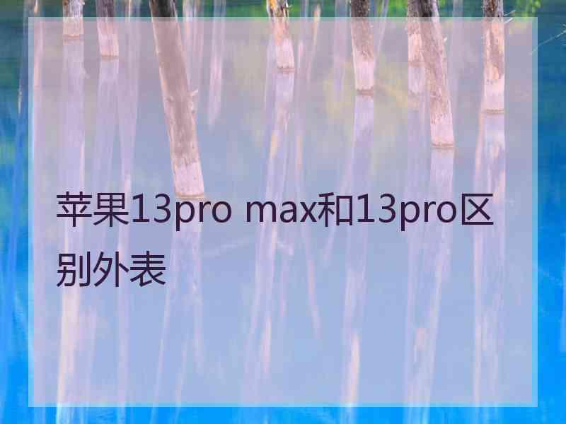 苹果13pro max和13pro区别外表