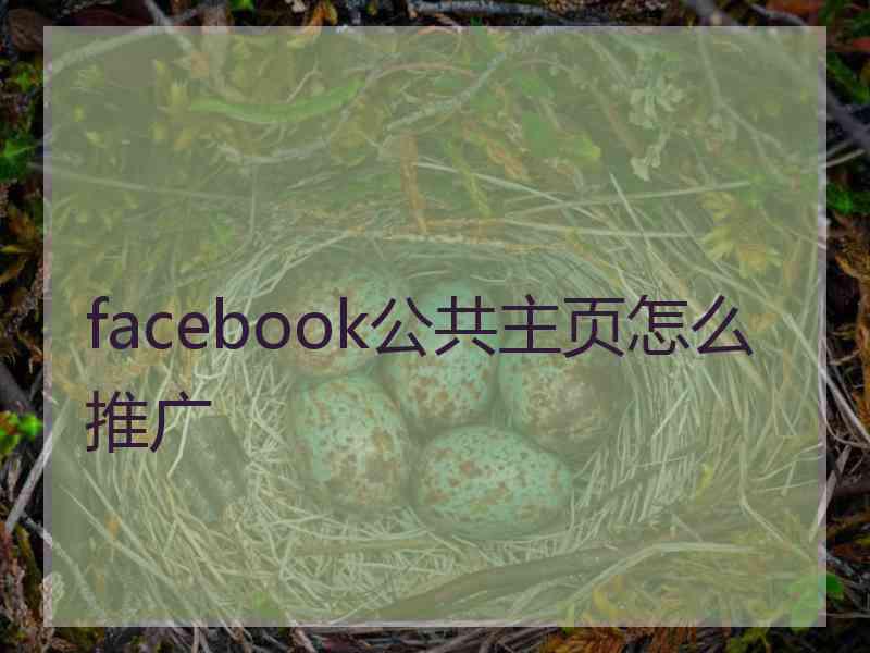 facebook公共主页怎么推广