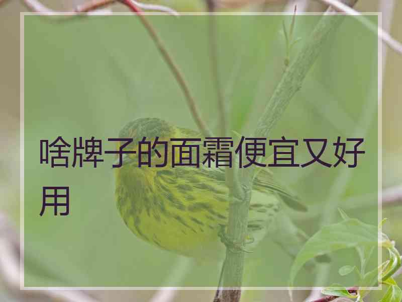 啥牌子的面霜便宜又好用