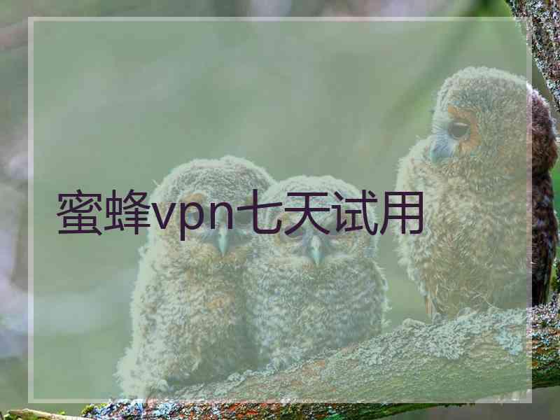 蜜蜂vpn七天试用