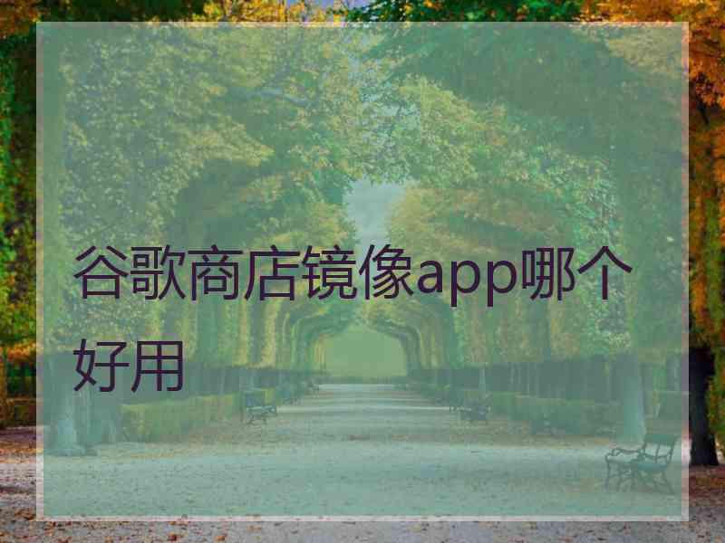 谷歌商店镜像app哪个好用