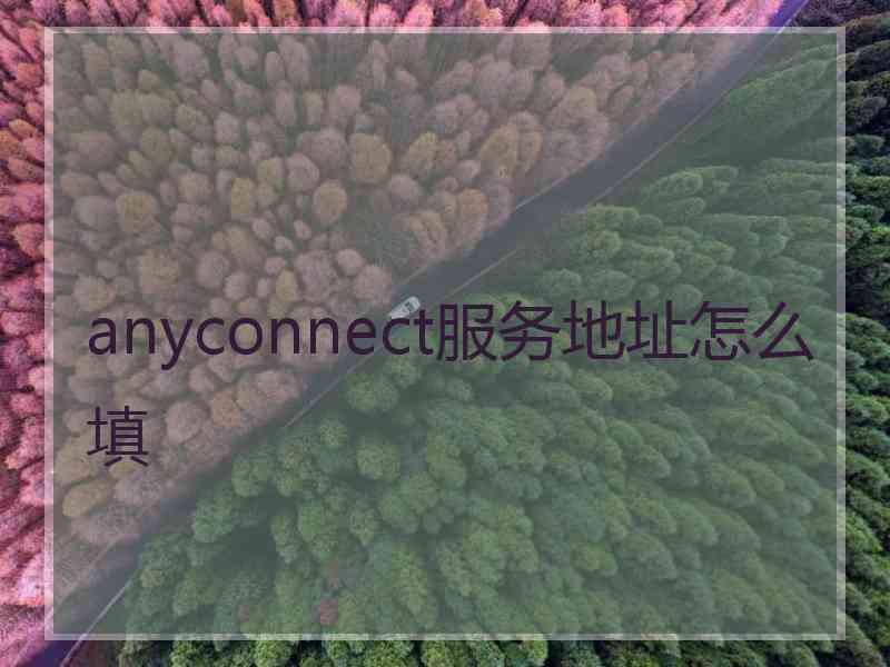 anyconnect服务地址怎么填