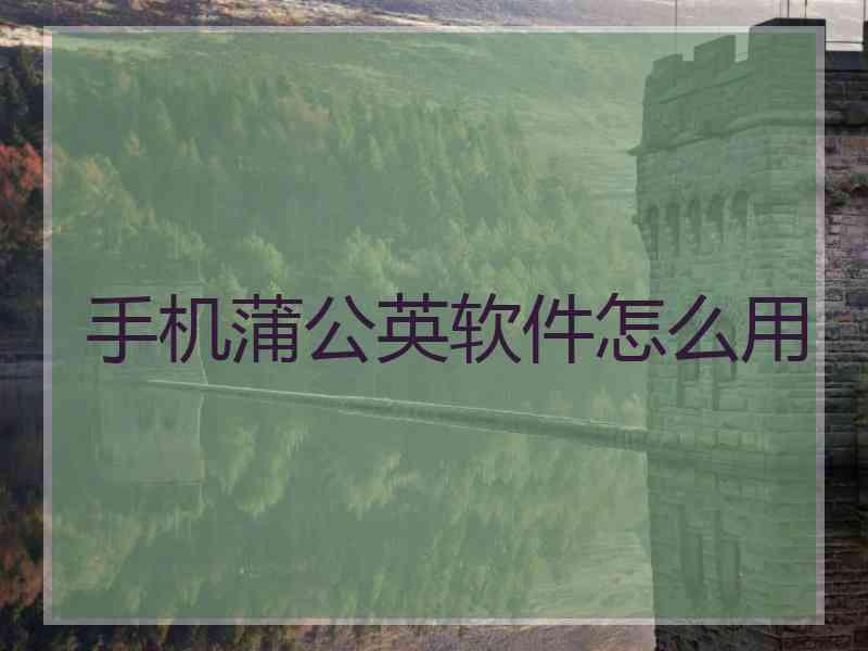 手机蒲公英软件怎么用