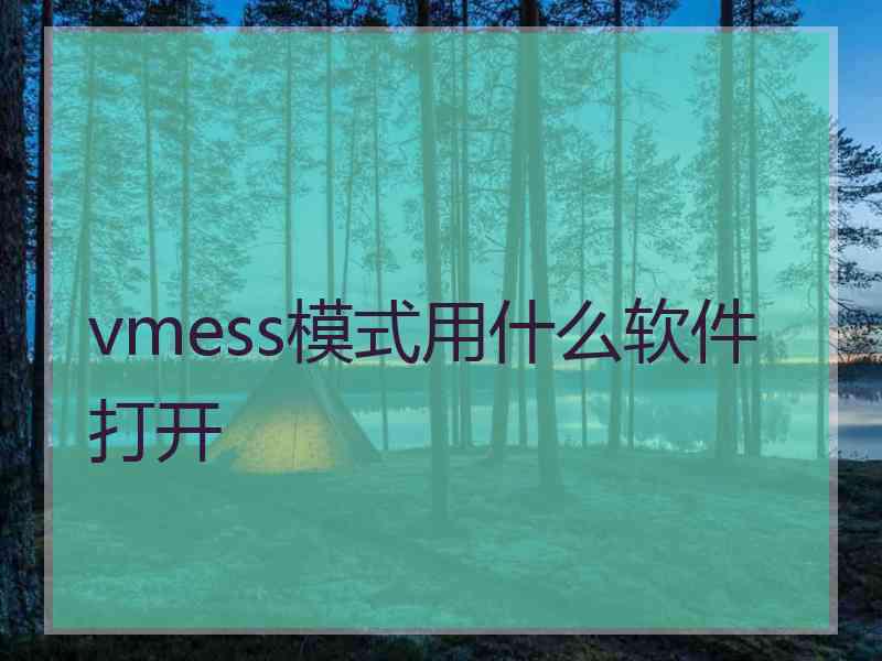 vmess模式用什么软件打开