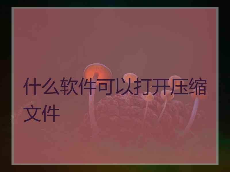 什么软件可以打开压缩文件