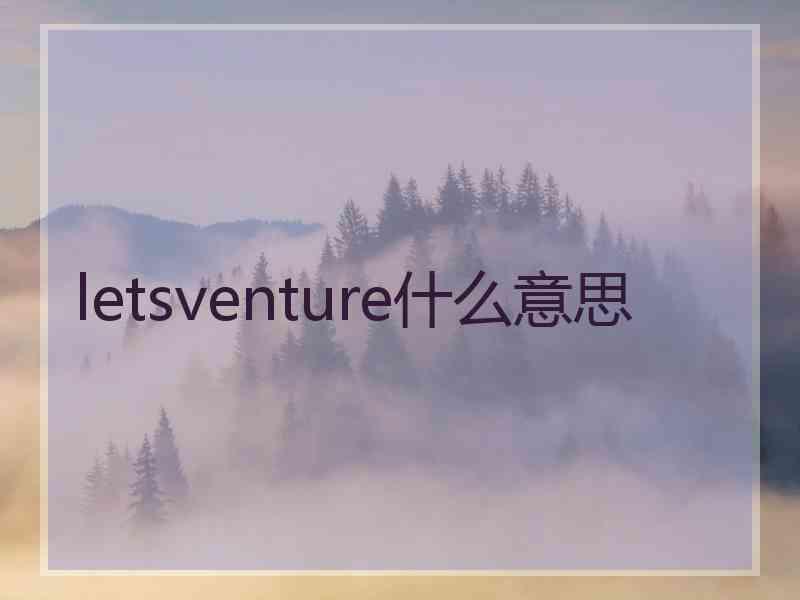 letsventure什么意思