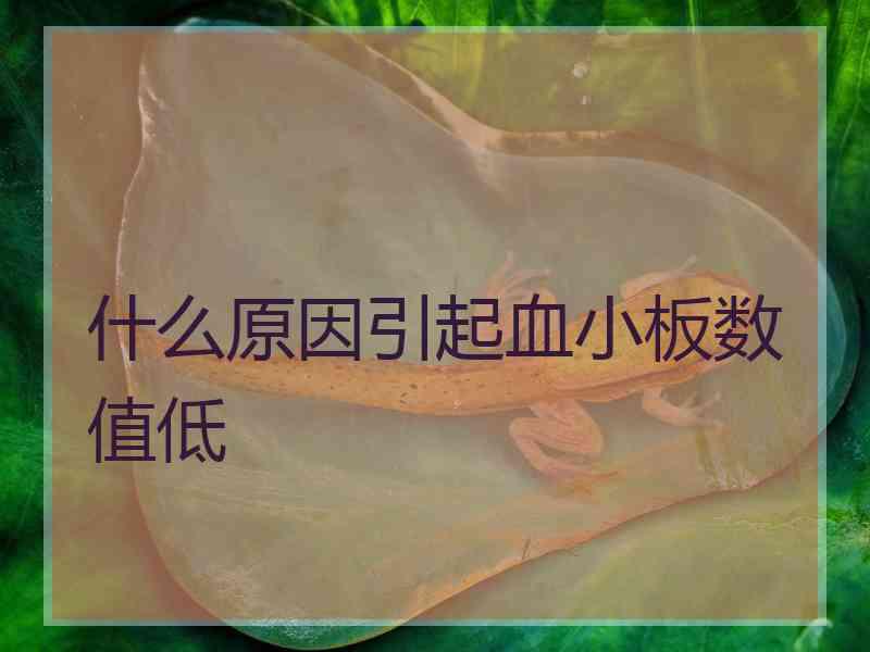 什么原因引起血小板数值低