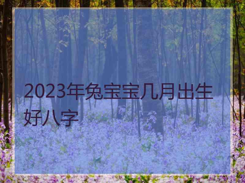 2023年兔宝宝几月出生好八字