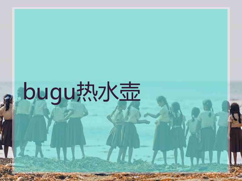 bugu热水壶