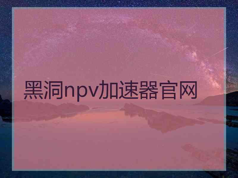 黑洞npv加速器官网