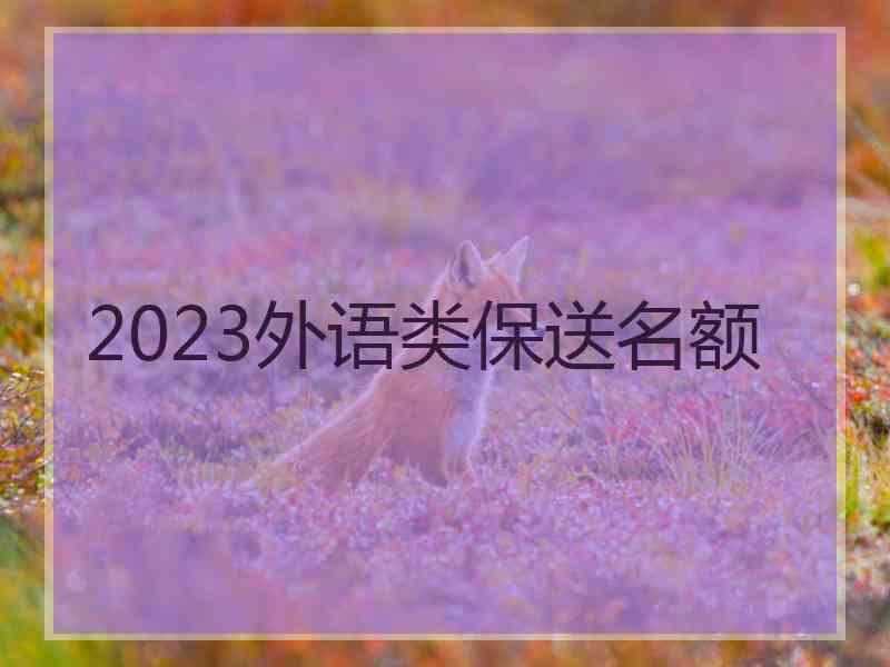 2023外语类保送名额