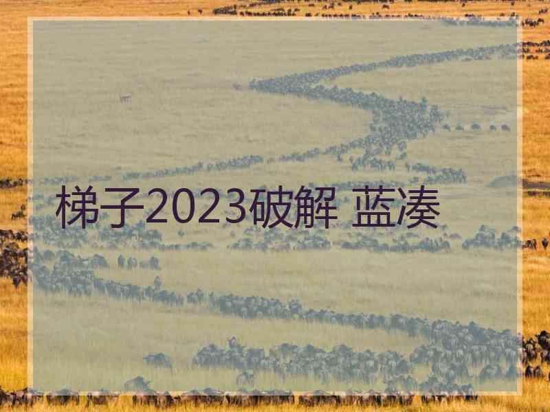 梯子2023破解 蓝凑