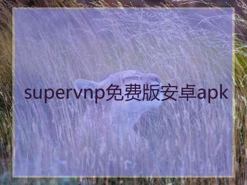 supervnp免费版安卓apk