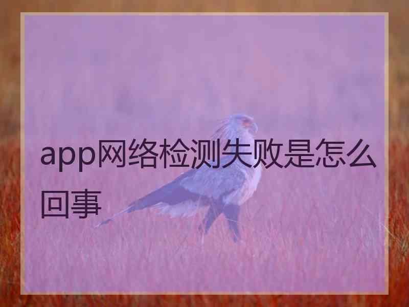 app网络检测失败是怎么回事