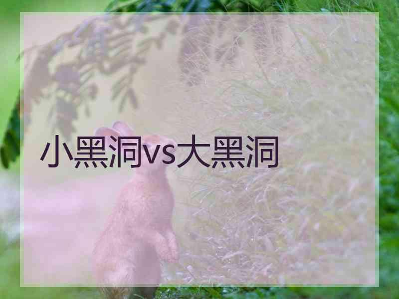 小黑洞vs大黑洞