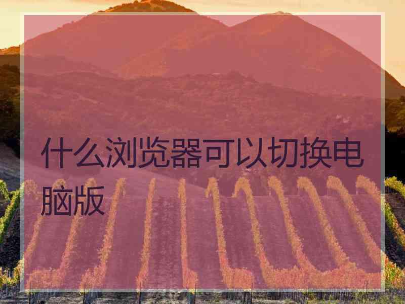 什么浏览器可以切换电脑版