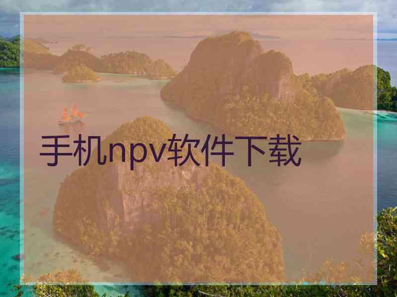 手机npv软件下载