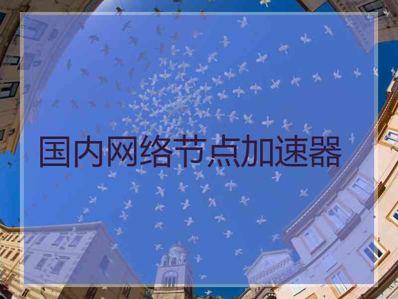 国内网络节点加速器