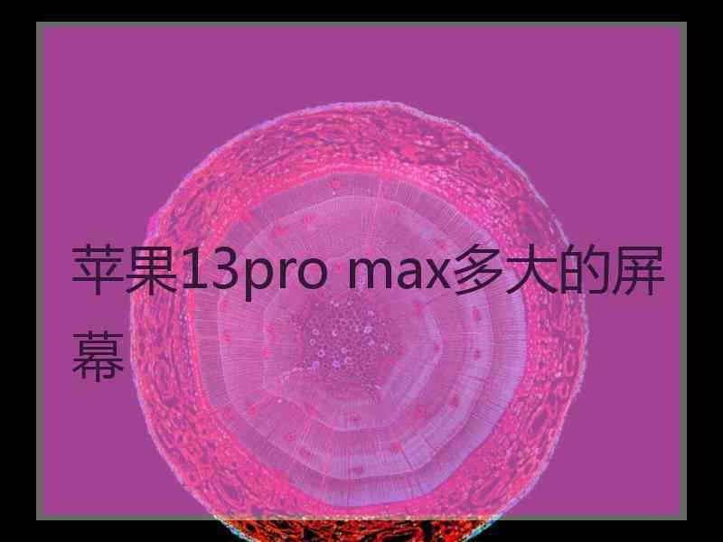 苹果13pro max多大的屏幕