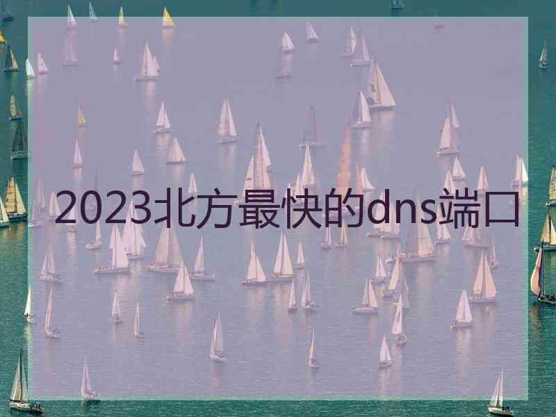 2023北方最快的dns端口