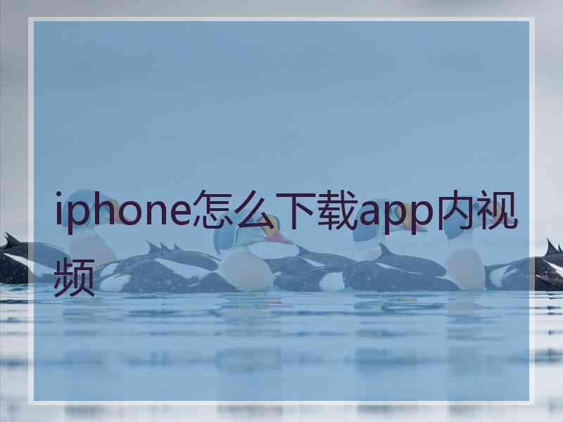 iphone怎么下载app内视频