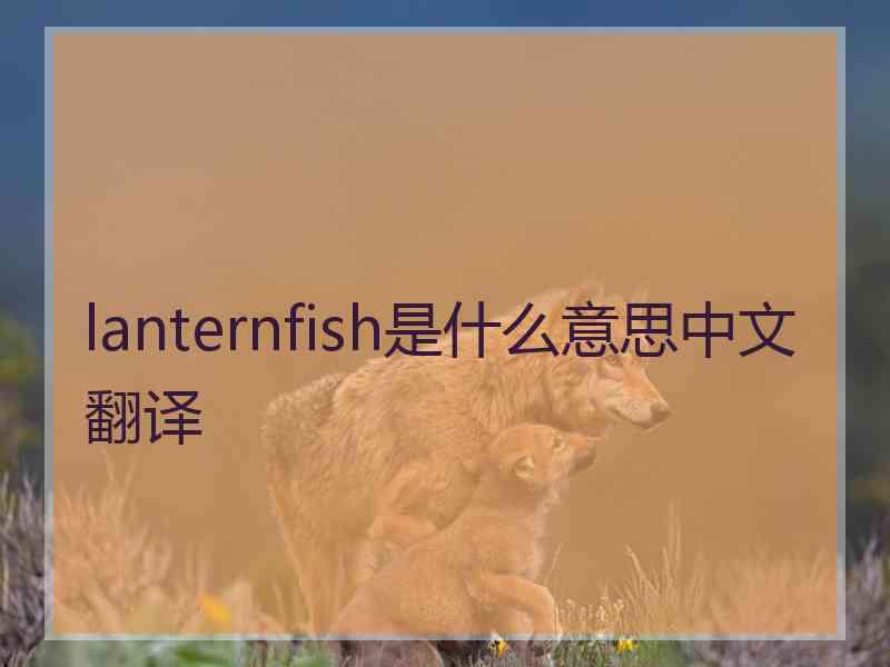 lanternfish是什么意思中文翻译