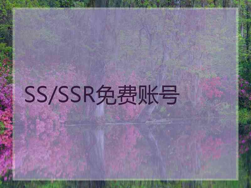 SS/SSR免费账号