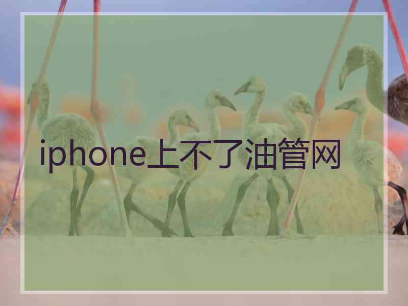 iphone上不了油管网