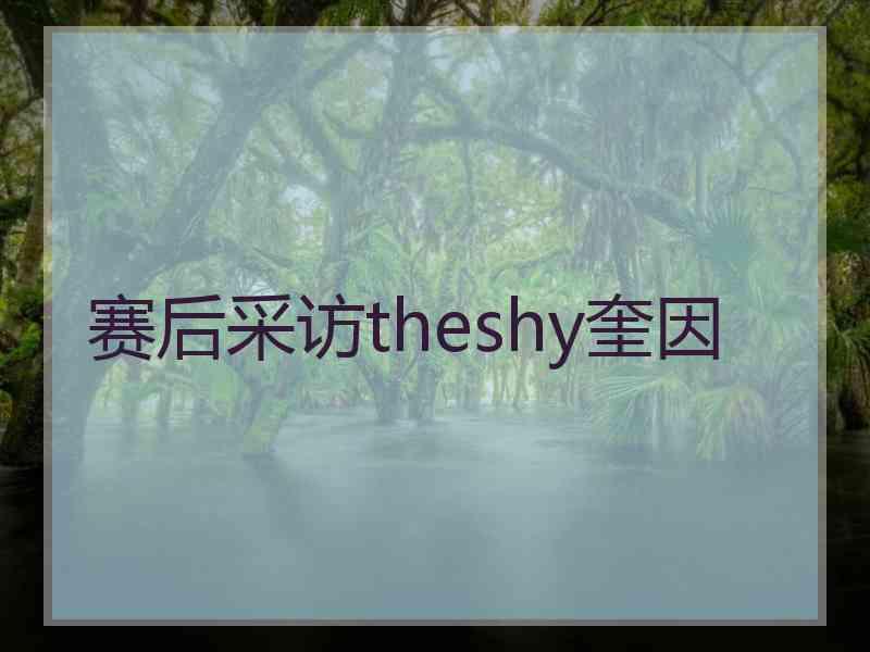 赛后采访theshy奎因