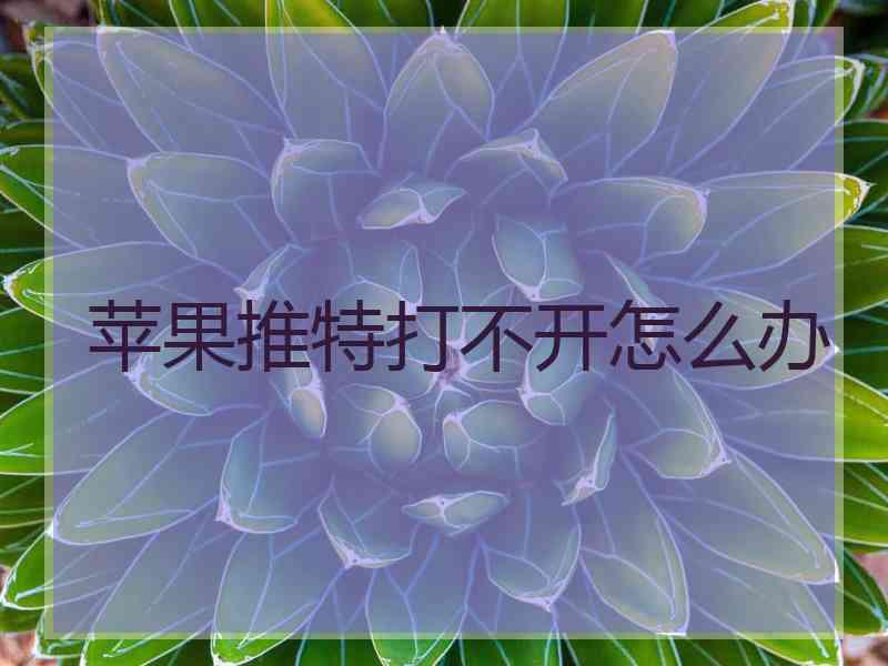 苹果推特打不开怎么办