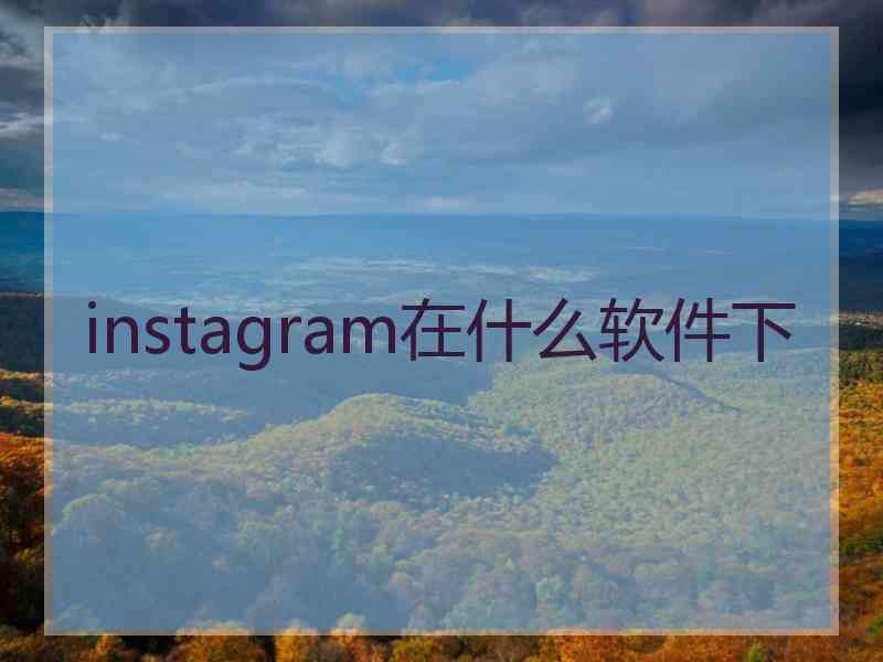 instagram在什么软件下