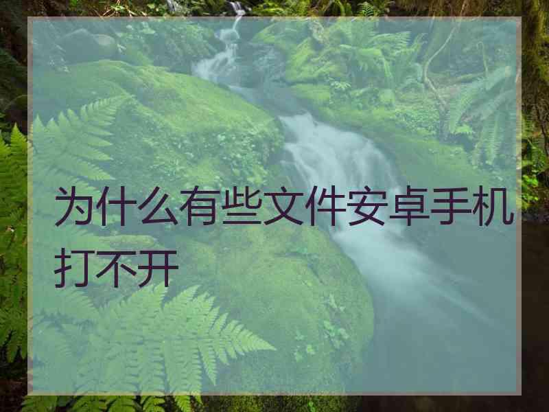 为什么有些文件安卓手机打不开