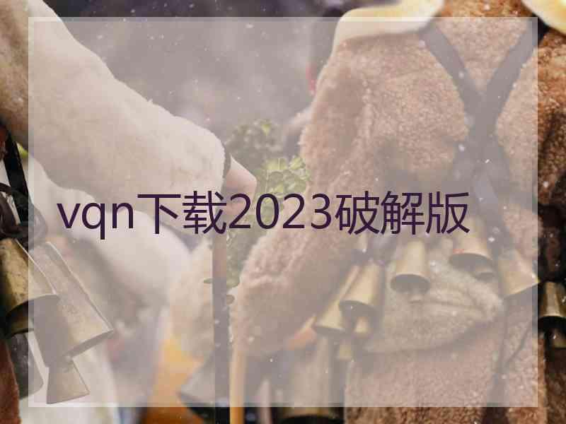 vqn下载2023破解版