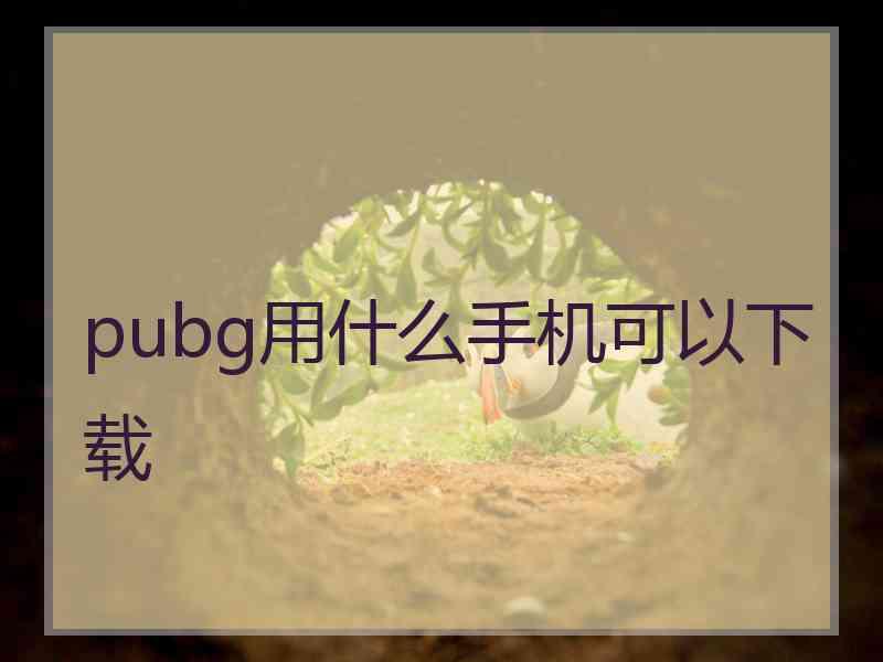 pubg用什么手机可以下载