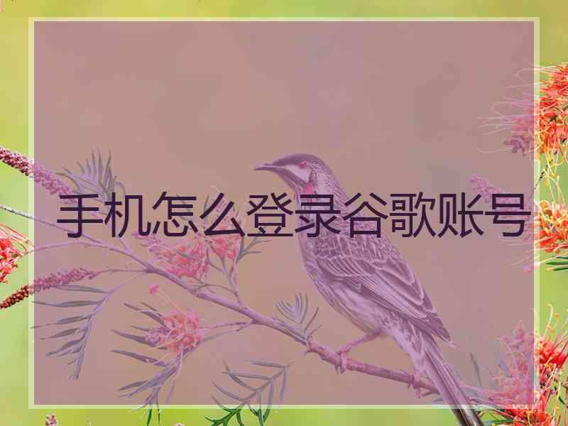 手机怎么登录谷歌账号