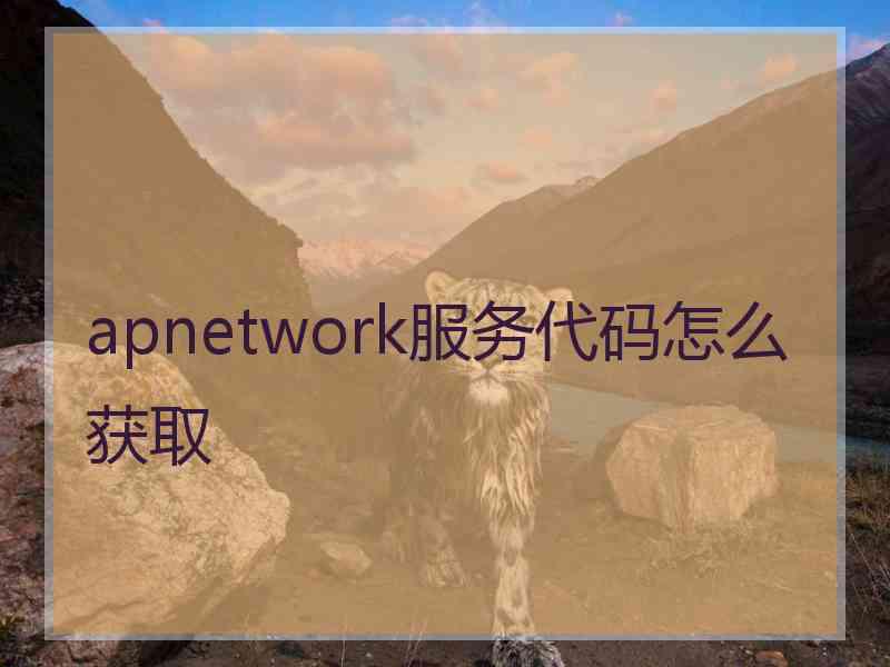 apnetwork服务代码怎么获取