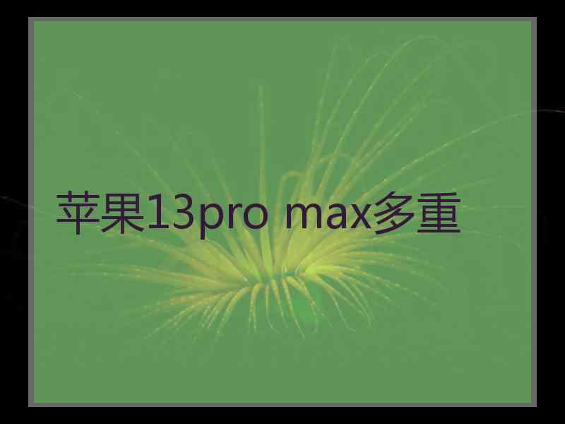 苹果13pro max多重