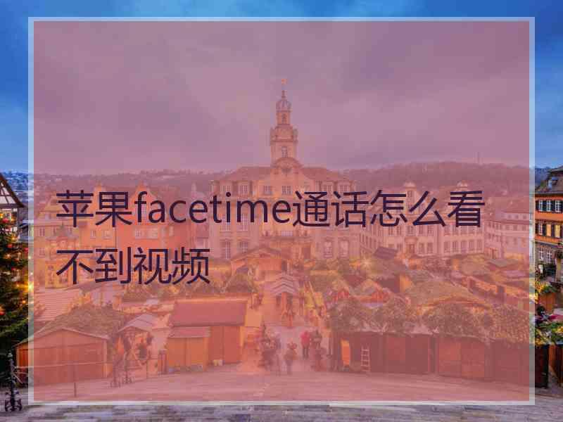 苹果facetime通话怎么看不到视频