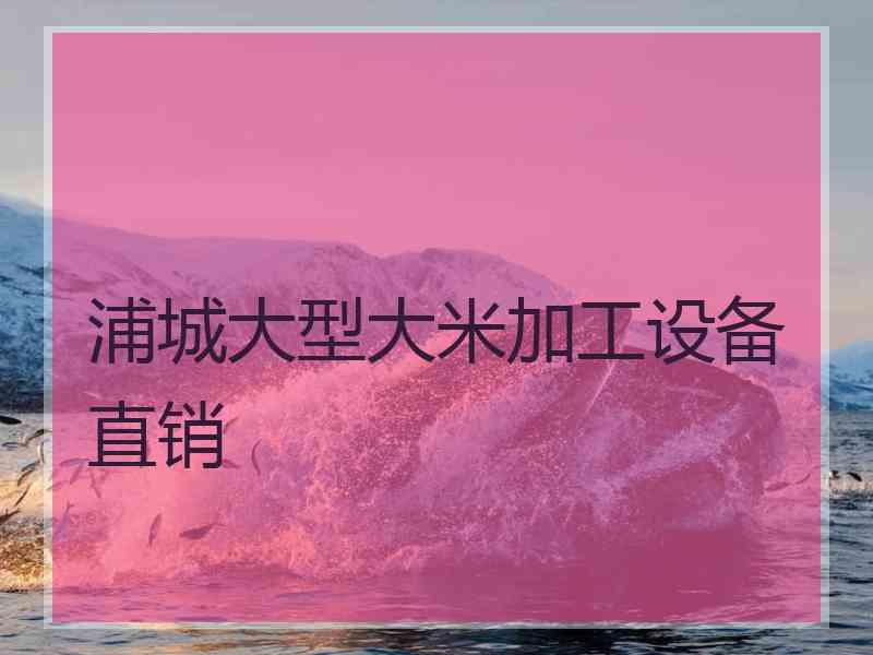 浦城大型大米加工设备直销