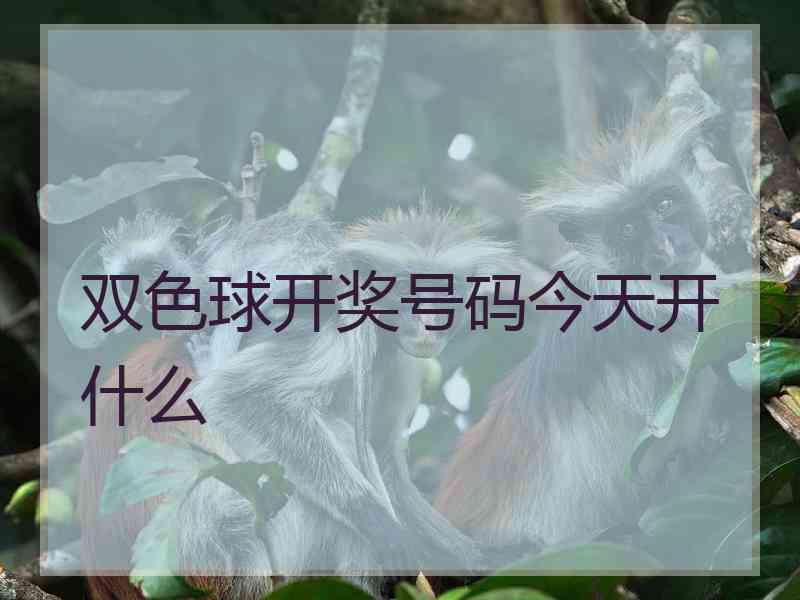 双色球开奖号码今天开什么