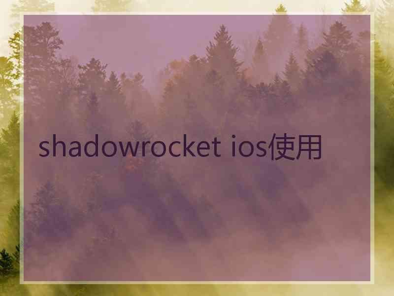 shadowrocket ios使用