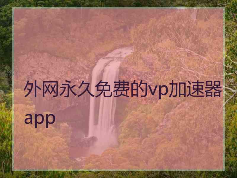 外网永久免费的vp加速器app