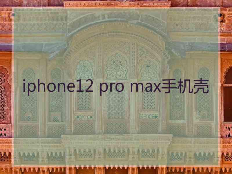 iphone12 pro max手机壳