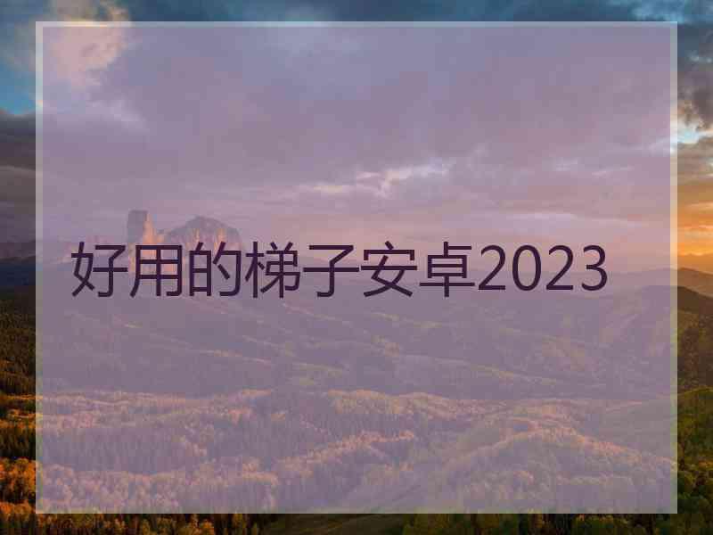 好用的梯子安卓2023