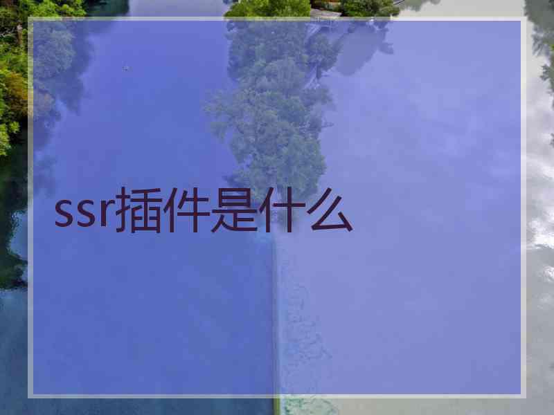 ssr插件是什么